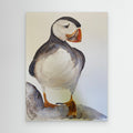 Puffin