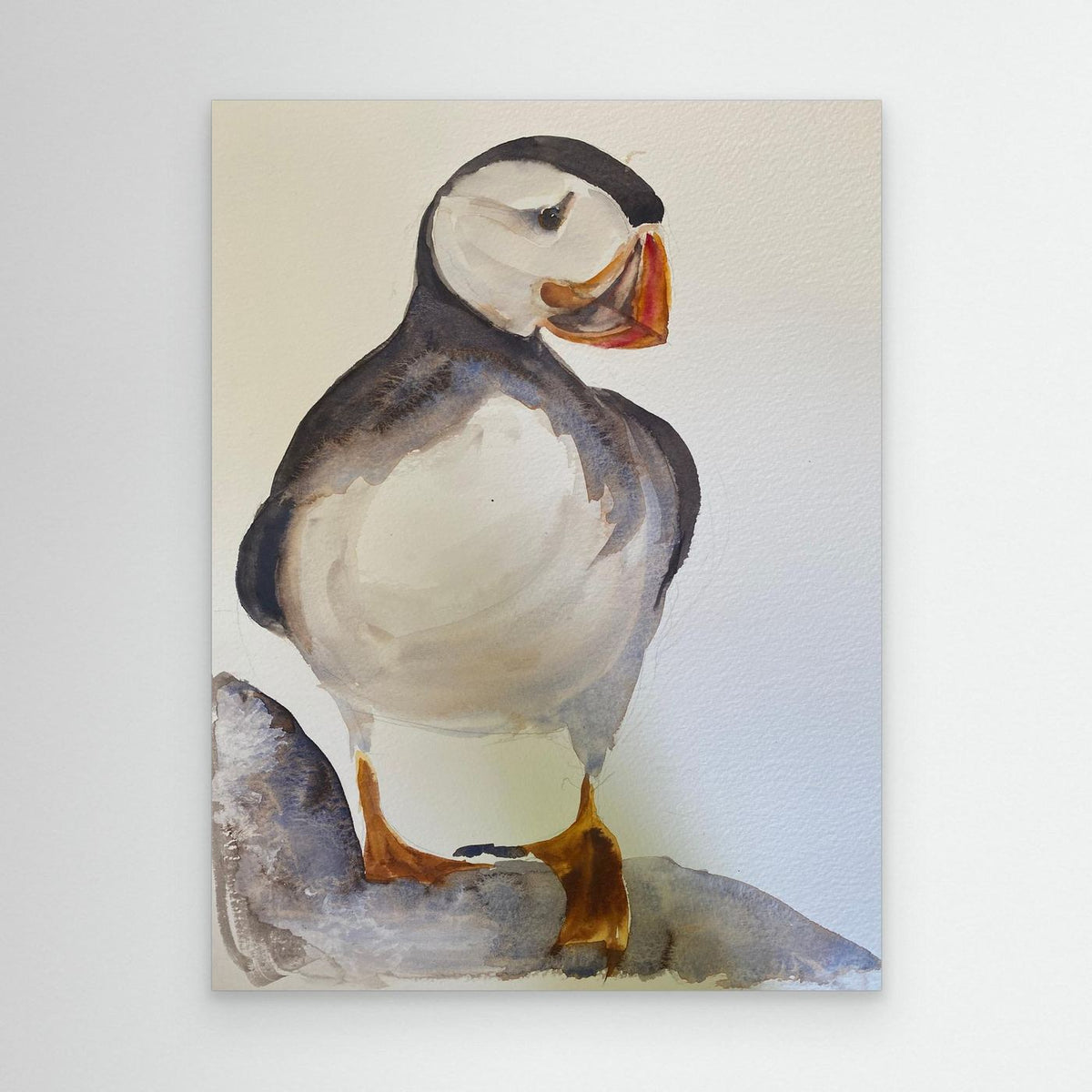 Puffin