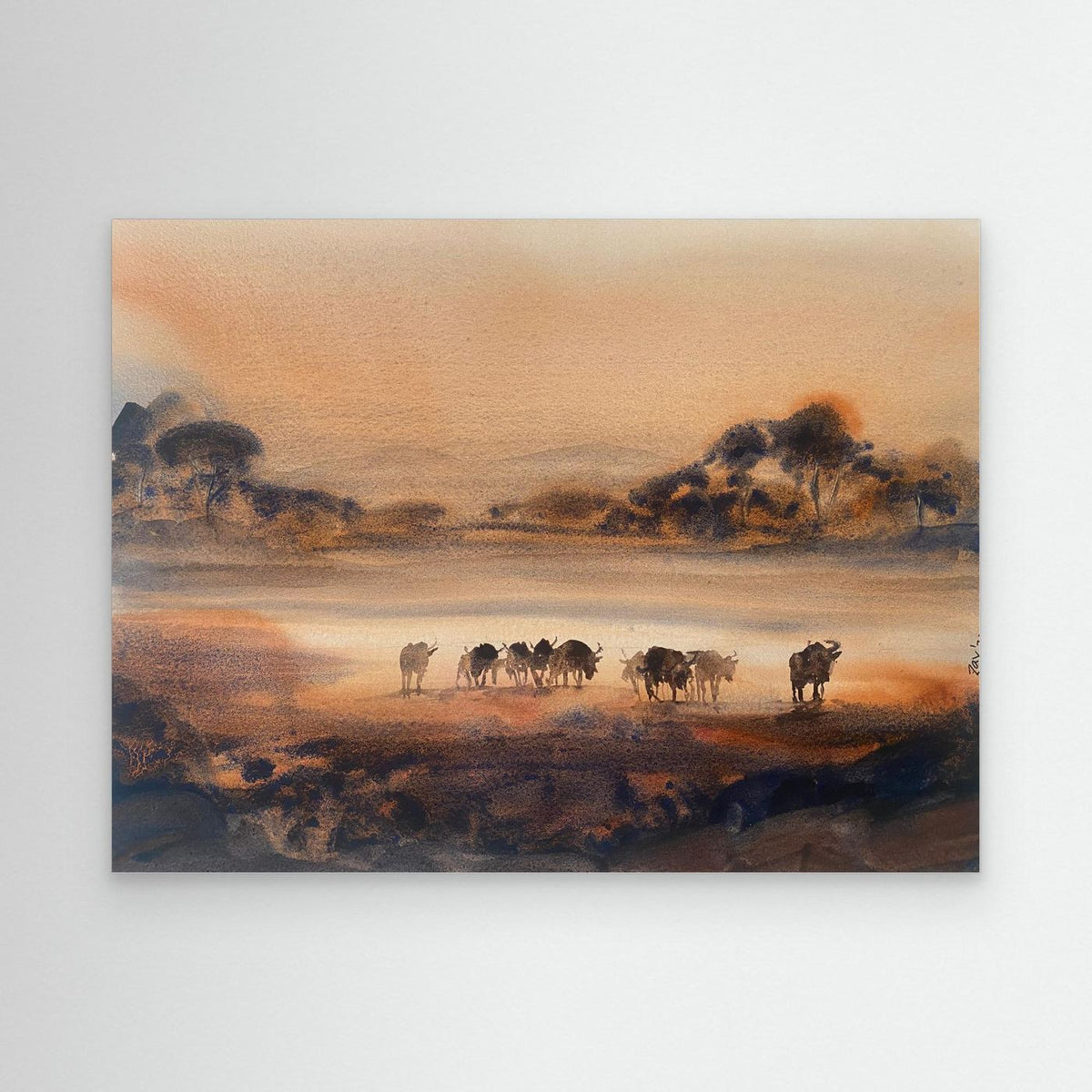 Wildebeests