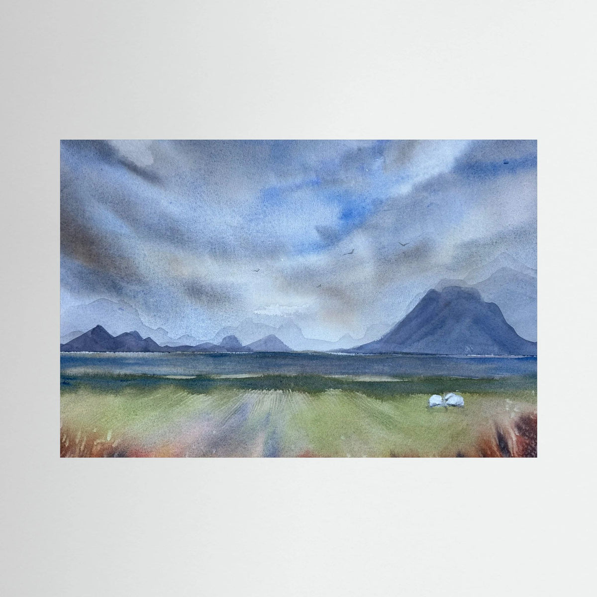 Kvalnes I, Lofoten field with sheep