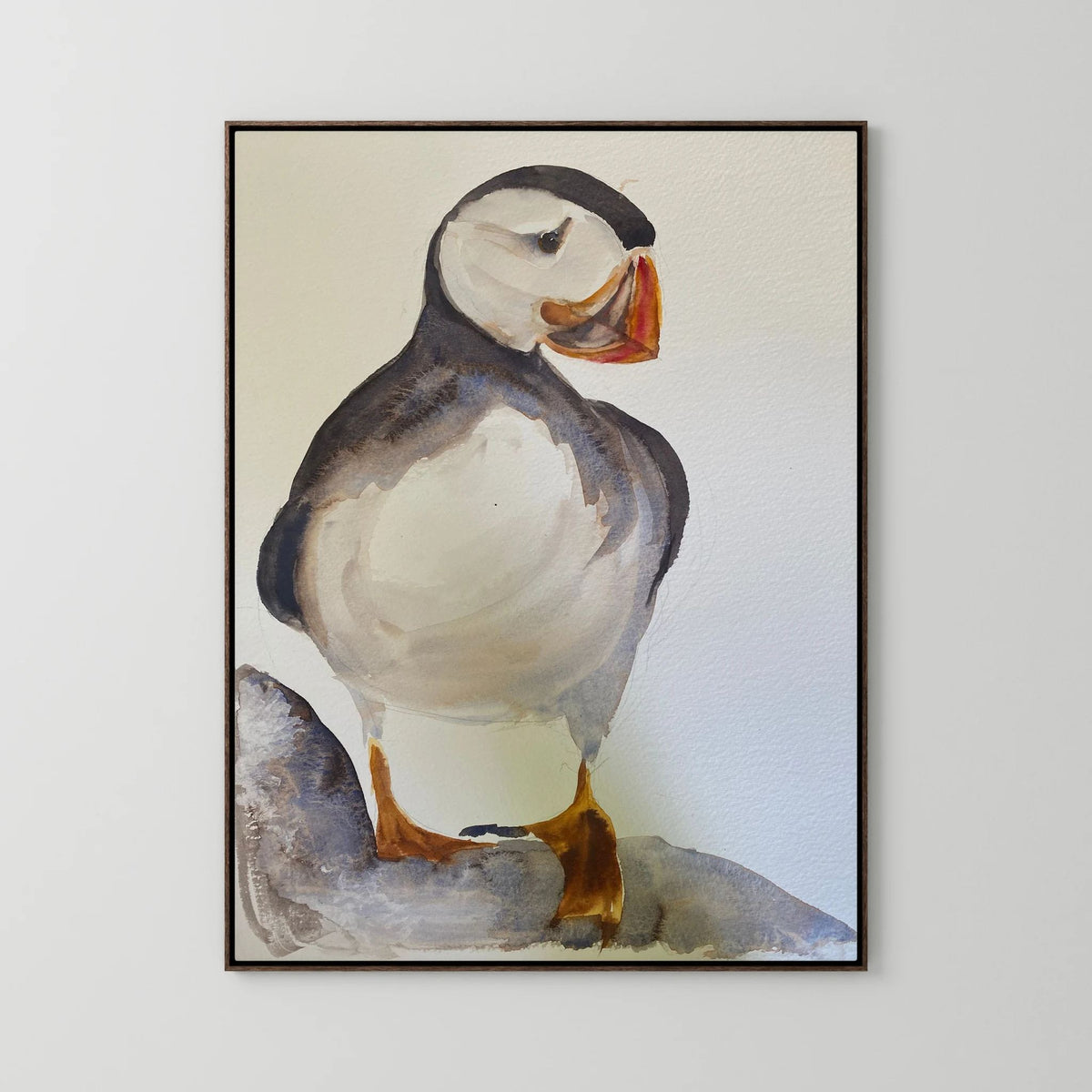 Puffin