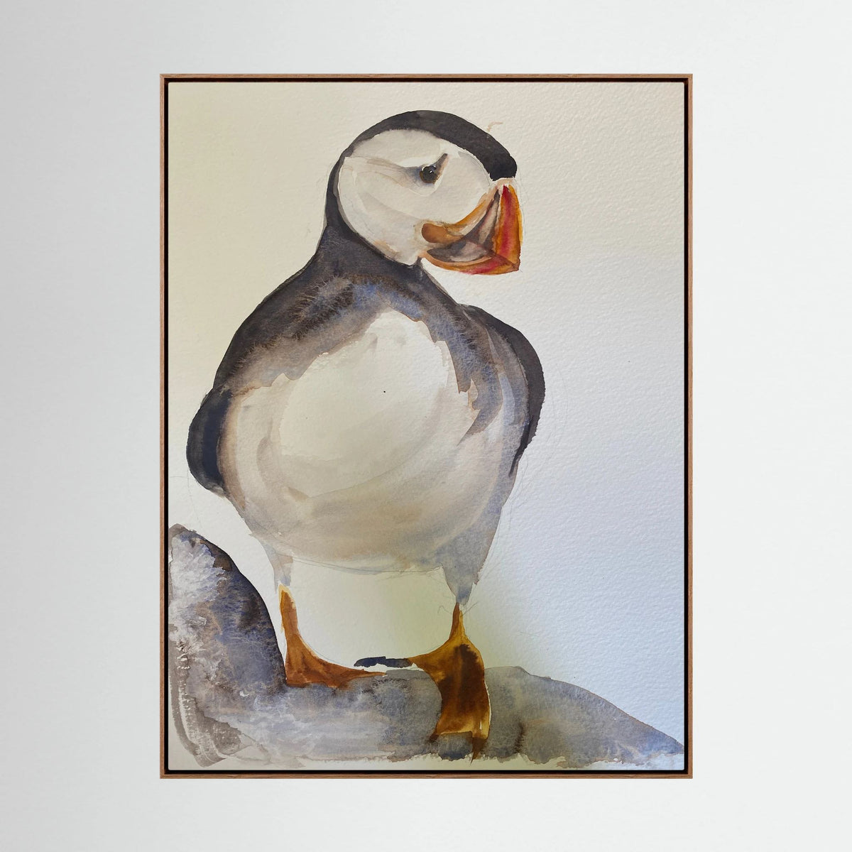 Puffin